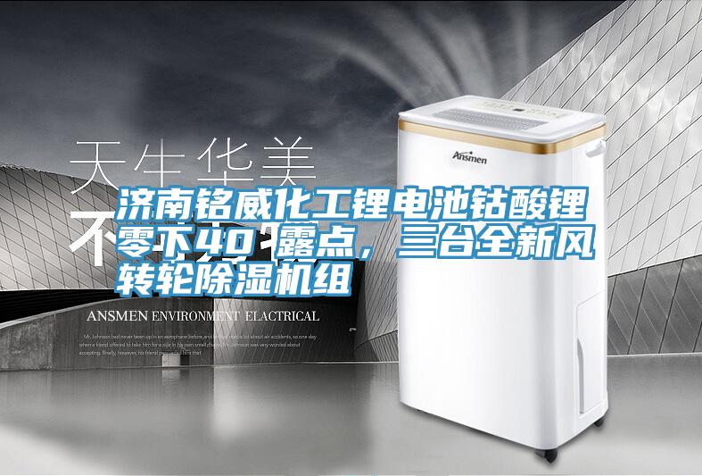 濟南銘威化工鋰電池鈷酸鋰零下40℃露點，三臺全新風轉(zhuǎn)輪除濕機組