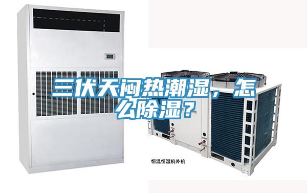 三伏天悶熱潮濕，怎么除濕？