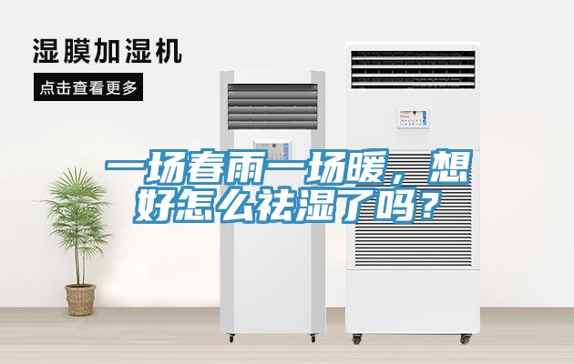 一場春雨一場暖，想好怎么祛濕了嗎？