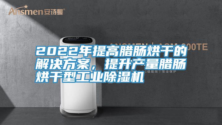 2022年提高臘腸烘干的解決方案，提升產(chǎn)量臘腸烘干型工業(yè)除濕機(jī)