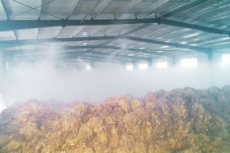 提升煙葉加工質(zhì)量，高效回潮很重要