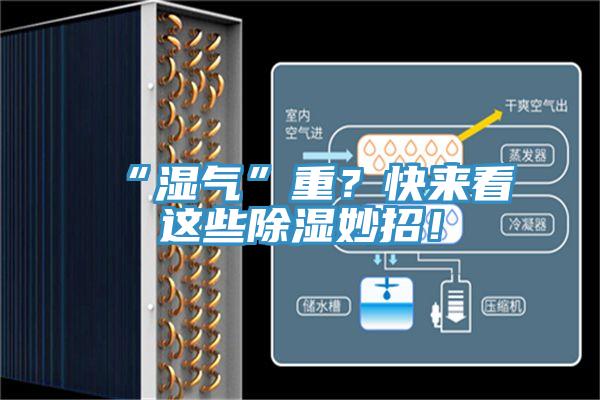 “濕氣”重？快來看這些除濕妙招！