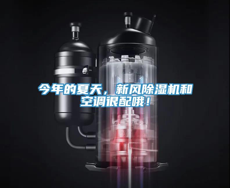 今年的夏天，新風(fēng)除濕機(jī)和空調(diào)很配哦！
