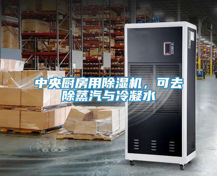 中央廚房用除濕機(jī)，可去除蒸汽與冷凝水
