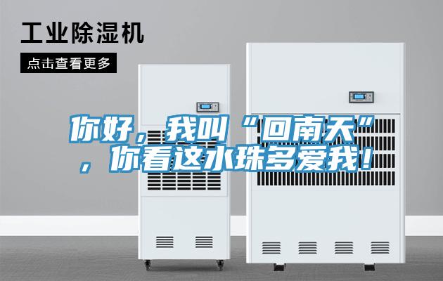 你好，我叫“回南天”，你看這水珠多愛我！
