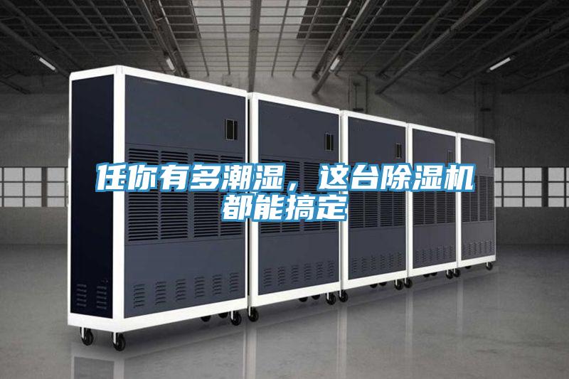 任你有多潮濕，這臺除濕機(jī)都能搞定