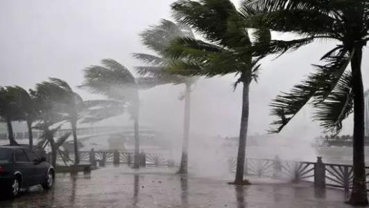 8月臺風雨即將來，除濕機還得用起來