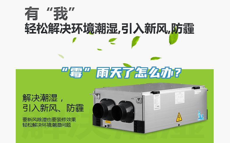 “霉”雨天了怎么辦？