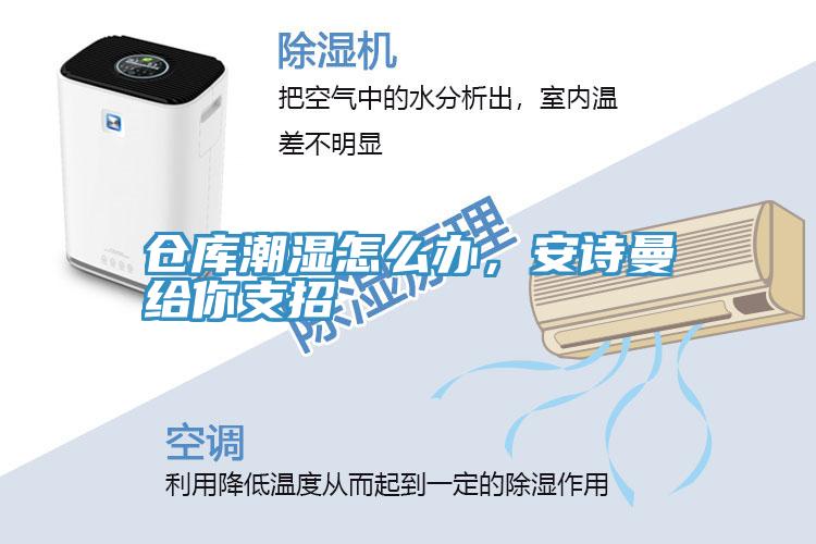 倉庫潮濕怎么辦，安詩曼給你支招