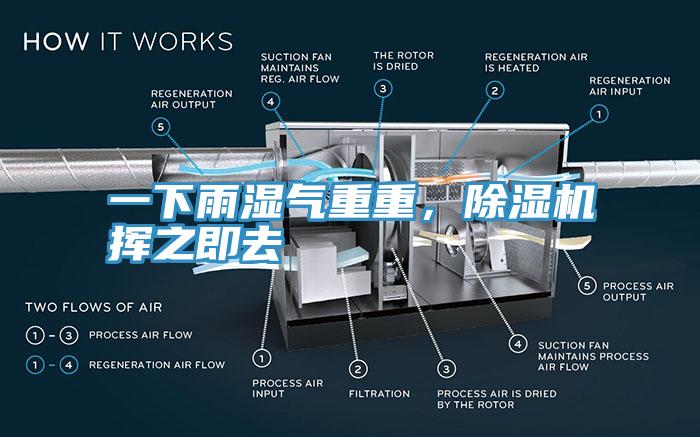 一下雨濕氣重重，除濕機揮之即去