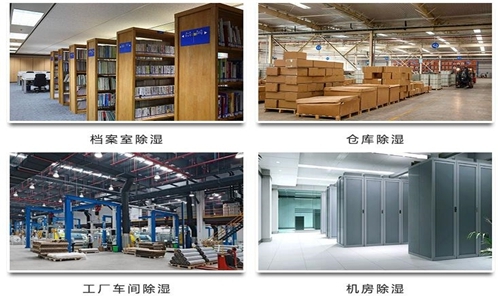 為什么竹筍烘干房需要除濕機(jī)？