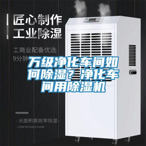 萬(wàn)級(jí)凈化車(chē)間如何除濕？?jī)艋?chē)間用除濕機(jī)