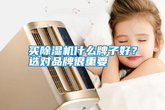 買除濕機什么牌子好？選對品牌很重要