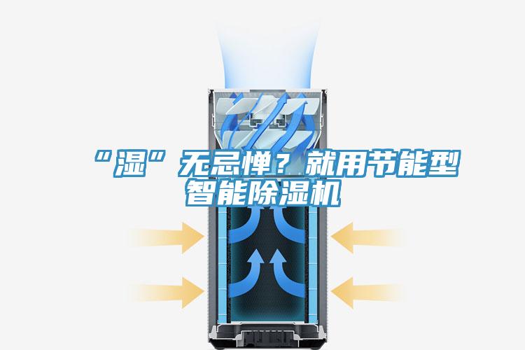 “濕”無忌憚？就用節(jié)能型智能除濕機(jī)