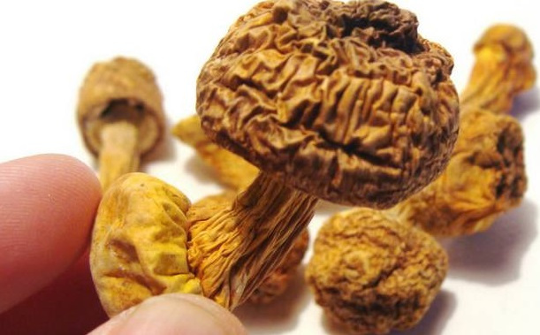 巴西菇、姬松茸烘干機(jī)-怎樣烘干色澤好且菇體褶片完整？