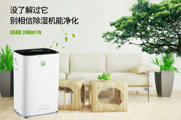 一到回南天狗狗就感冒+皮膚病，怎么辦？