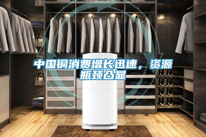 中國(guó)銅消費(fèi)增長(zhǎng)迅速，資源瓶頸凸顯