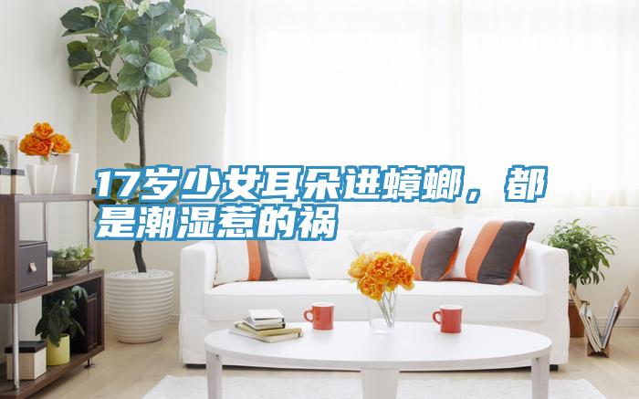 17歲少女耳朵進蟑螂，都是潮濕惹的禍