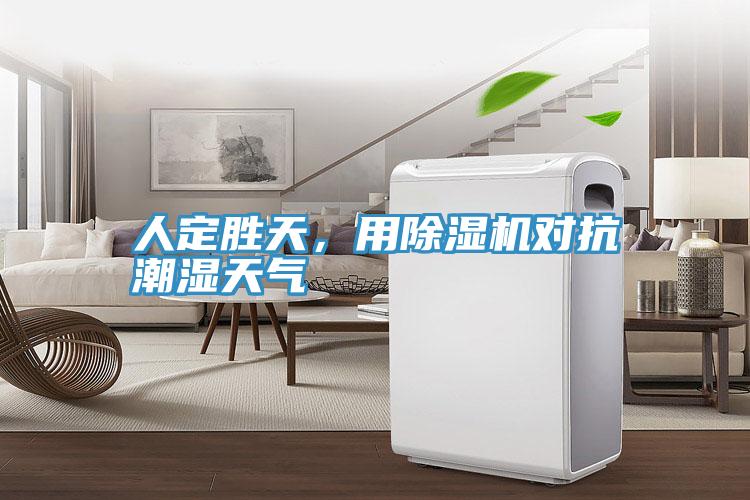 人定勝天，用除濕機對抗潮濕天氣
