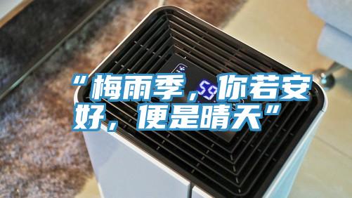 “梅雨季，你若安好，便是晴天”