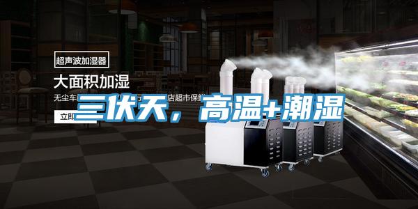 三伏天，高溫+潮濕