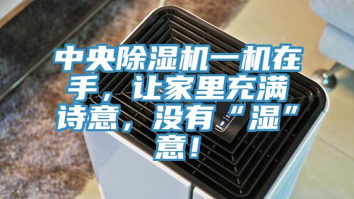 中央除濕機(jī)一機(jī)在手，讓家里充滿詩意，沒有“濕”意！