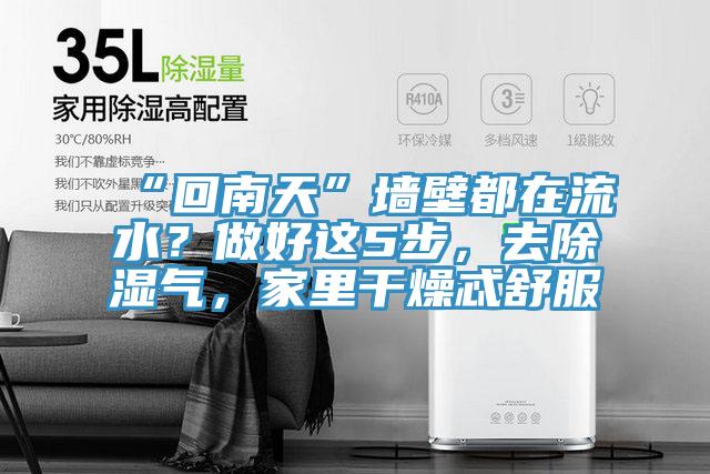 “回南天”墻壁都在流水？做好這5步，去除濕氣，家里干燥忒舒服