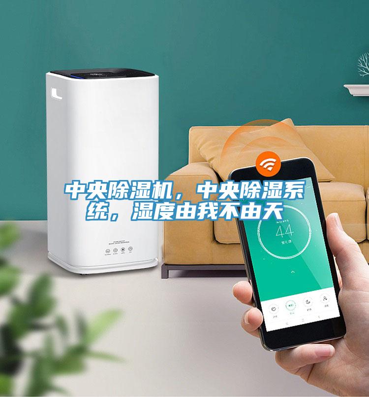 中央除濕機(jī)，中央除濕系統(tǒng)，濕度由我不由天