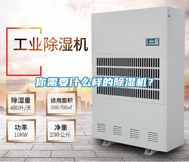 你需要什么樣的除濕機(jī)？