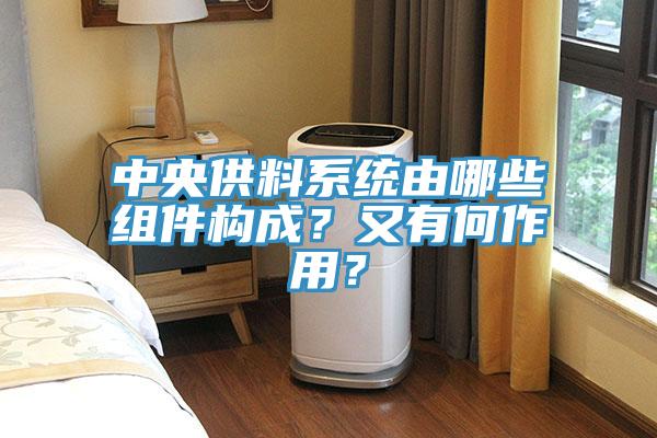中央供料系統(tǒng)由哪些組件構(gòu)成？又有何作用？