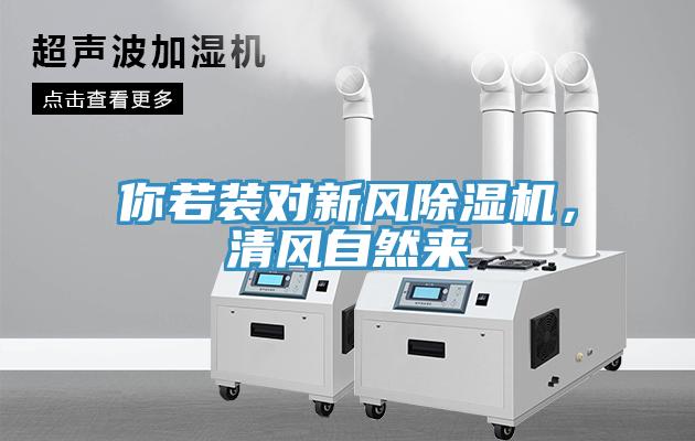 你若裝對(duì)新風(fēng)除濕機(jī)，清風(fēng)自然來(lái)