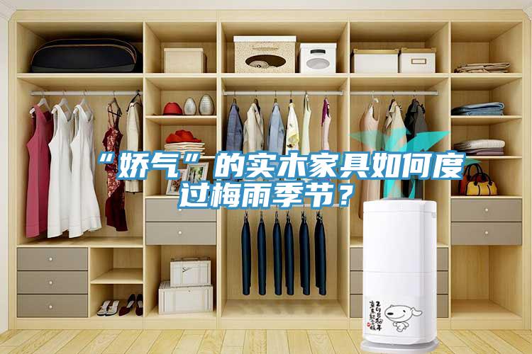 “嬌氣”的實(shí)木家具如何度過梅雨季節(jié)？