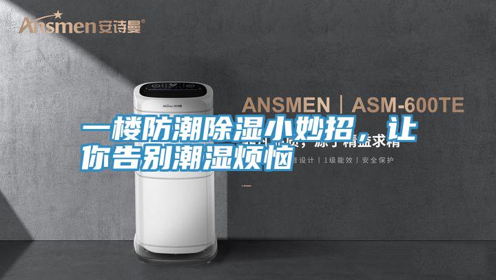 一樓防潮除濕小妙招，讓你告別潮濕煩惱
