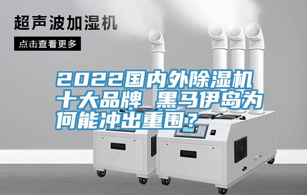 2022國內外除濕機十大品牌 黑馬伊島為何能沖出重圍？
