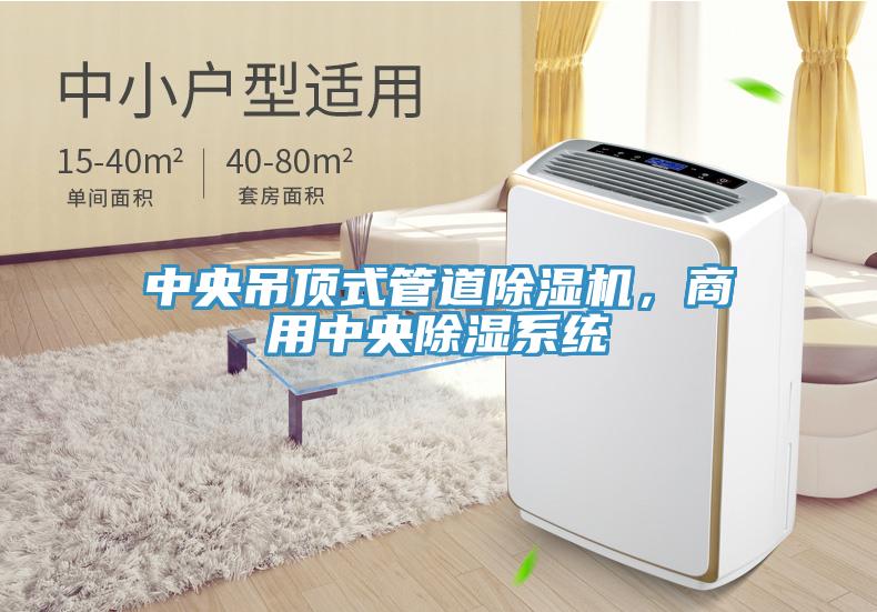 中央吊頂式管道除濕機(jī)，商用中央除濕系統(tǒng)