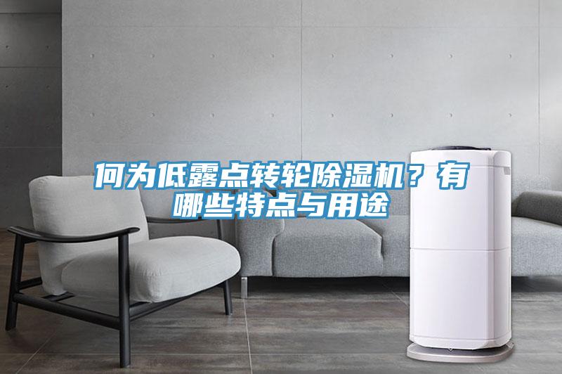 何為低露點(diǎn)轉(zhuǎn)輪除濕機(jī)？有哪些特點(diǎn)與用途