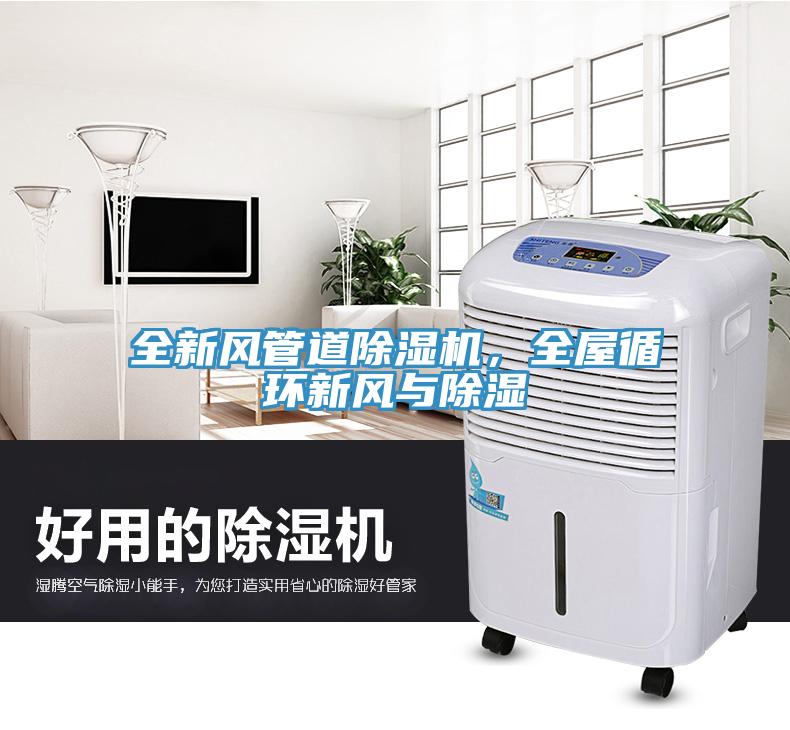 全新風管道除濕機，全屋循環(huán)新風與除濕