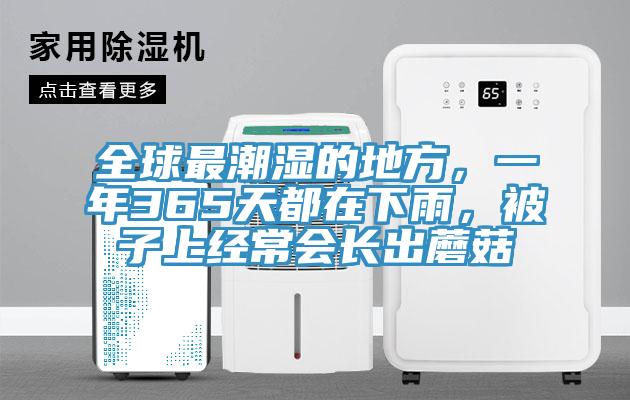 全球最潮濕的地方，一年365天都在下雨，被子上經(jīng)常會長出蘑菇