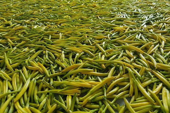 無硫金針菜烘干如何保持品相？不發(fā)黑？_除濕機廠家