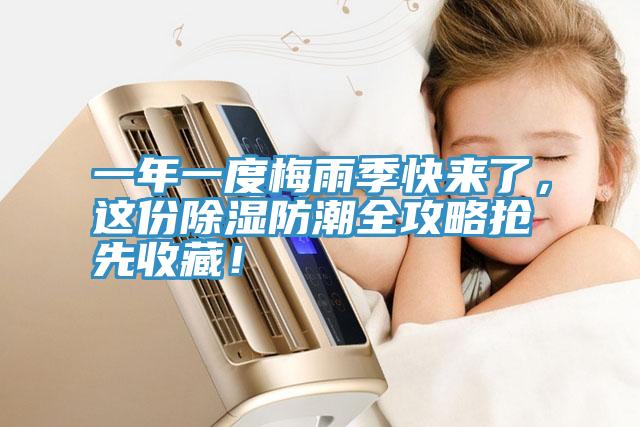 一年一度梅雨季快來了，這份除濕防潮全攻略搶先收藏！