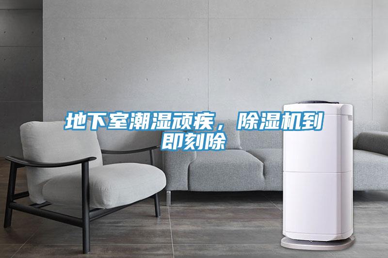 地下室潮濕頑疾，除濕機到即刻除