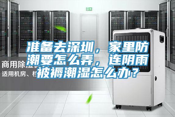 準(zhǔn)備去深圳，家里防潮要怎么弄，連陰雨被褥潮濕怎么辦？
