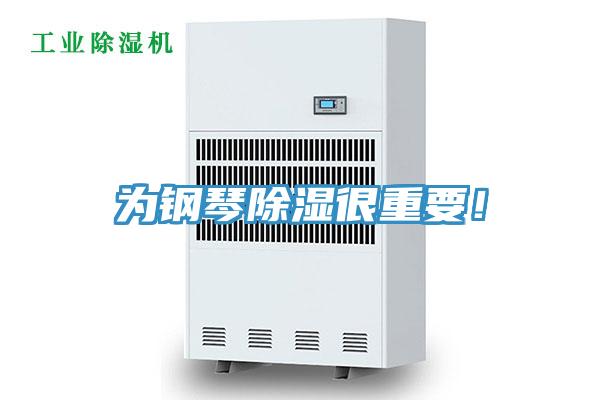 為鋼琴除濕很重要！