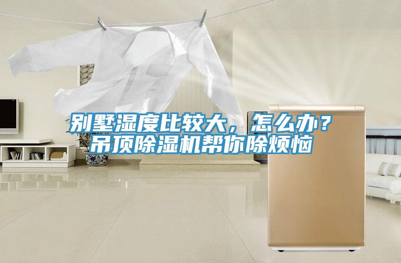 別墅濕度比較大，怎么辦？吊頂除濕機幫你除煩惱