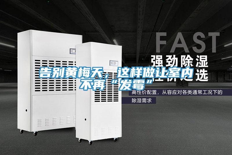 告別黃梅天，這樣做讓室內(nèi)不再“發(fā)霉”
