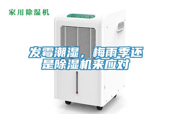 發(fā)霉潮濕，梅雨季還是除濕機(jī)來應(yīng)對