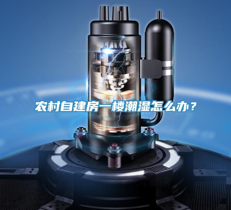 農(nóng)村自建房一樓潮濕怎么辦？