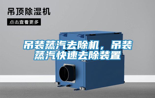 吊裝蒸汽去除機，吊裝蒸汽快速去除裝置