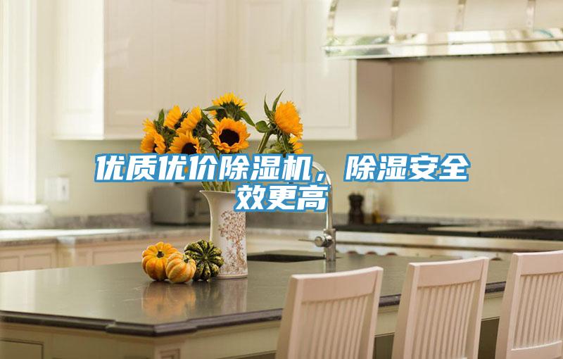 優(yōu)質(zhì)優(yōu)價(jià)除濕機(jī)，除濕安全效更高