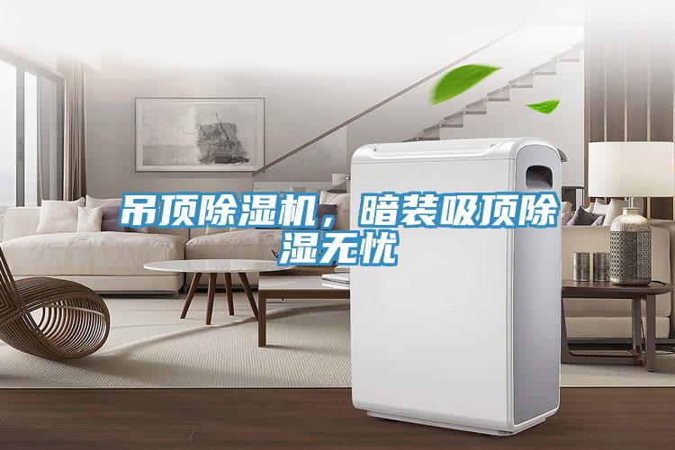 吊頂除濕機，暗裝吸頂除濕無憂
